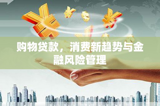 柳营购物贷款，消费新趋势与金融风险管理