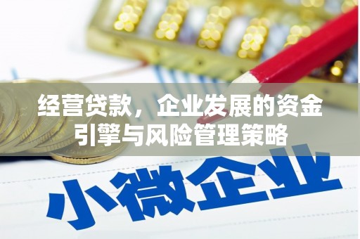 新营经营贷款，企业发展的资金引擎与风险管理策略