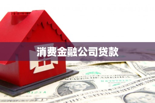 龙泉驿消费金融公司贷款