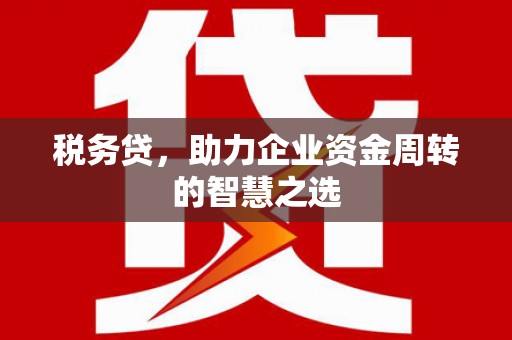 水上税务贷，助力企业资金周转的智慧之选