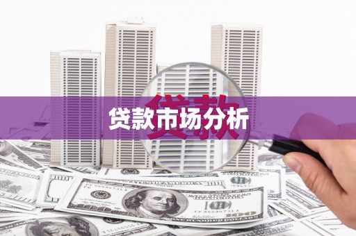 桃江贷款市场分析