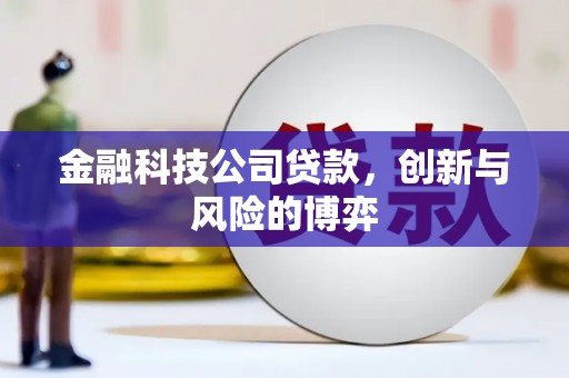 临湘金融科技公司贷款，创新与风险的博弈