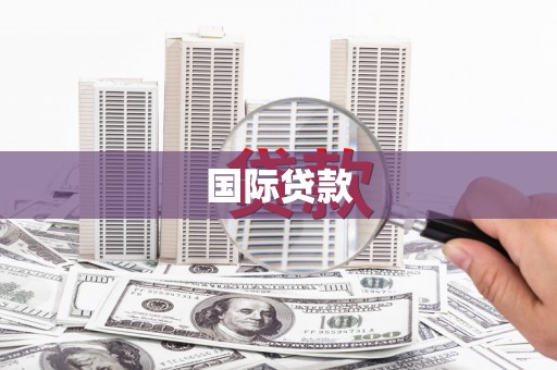 公安国际贷款