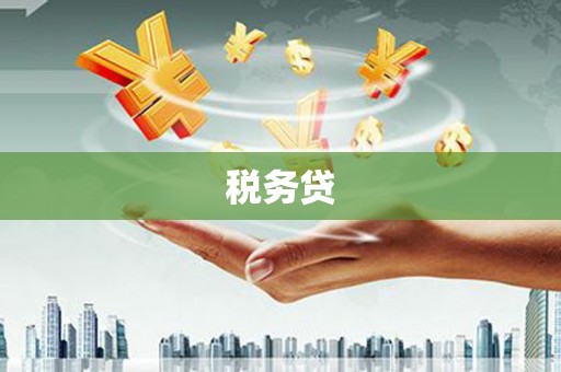 增城税务贷