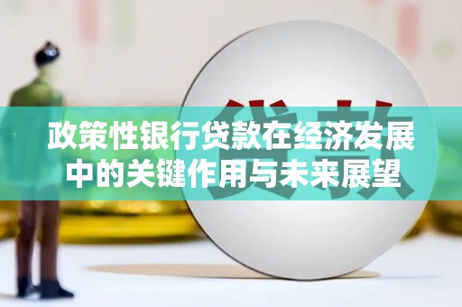 万全政策性银行贷款在经济发展中的关键作用与未来展望