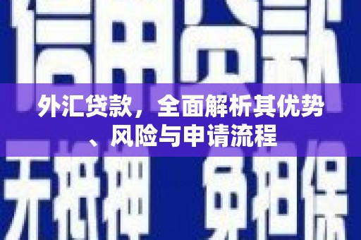 呼玛外汇贷款，全面解析其优势、风险与申请流程
