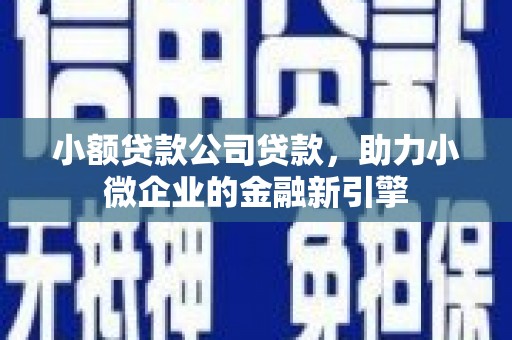 西吉小额贷款公司贷款，助力小微企业的金融新引擎