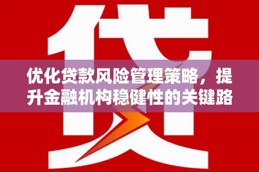 炉霍优化贷款风险管理策略，提升金融机构稳健性的关键路径