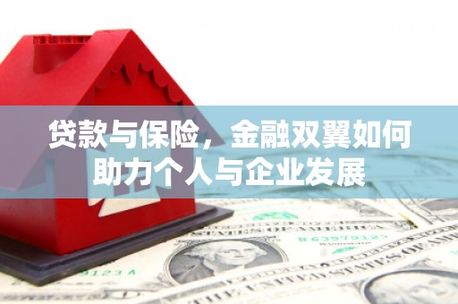 观音贷款与保险，金融双翼如何助力个人与企业发展