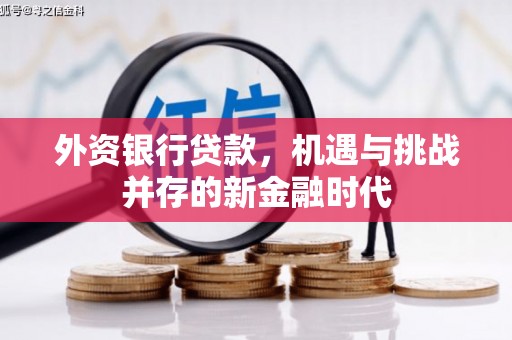 乌拉特中旗外资银行贷款，机遇与挑战并存的新金融时代