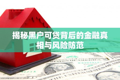 秀林揭秘黑户可贷背后的金融真相与风险防范