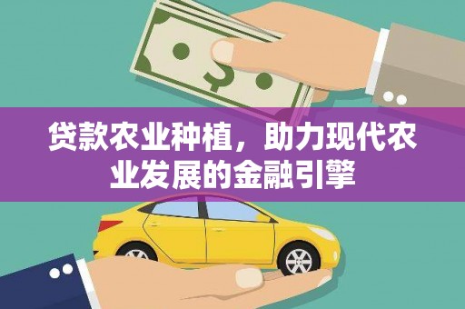 新蔡贷款农业种植，助力现代农业发展的金融引擎