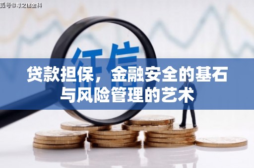 新蔡贷款担保，金融安全的基石与风险管理的艺术