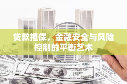 苍溪贷款担保，金融安全与风险控制的平衡艺术