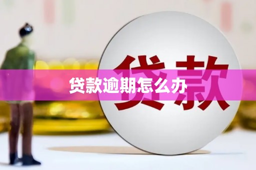 龙岗贷款逾期怎么办