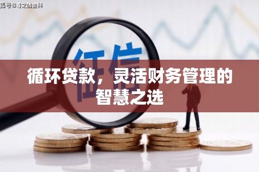 临海循环贷款，灵活财务管理的智慧之选