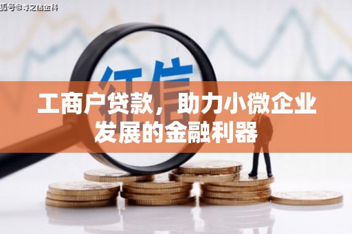 保税区工商户贷款，助力小微企业发展的金融利器