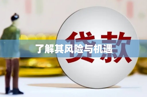 新泰了解其风险与机遇
