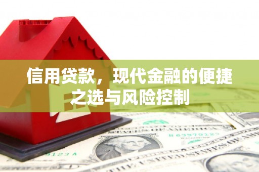 狮子山信用贷款，现代金融的便捷之选与风险控制