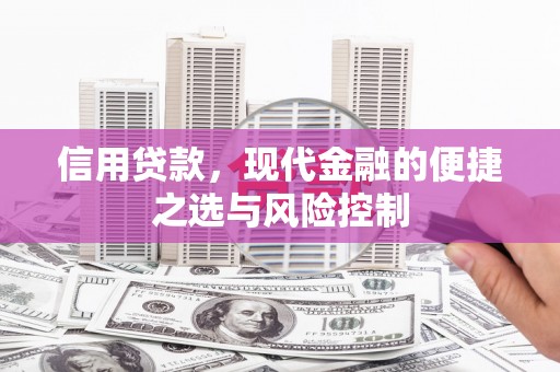 坪山新区信用贷款，现代金融的便捷之选与风险控制
