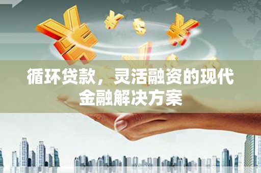 滨城循环贷款，灵活融资的现代金融解决方案