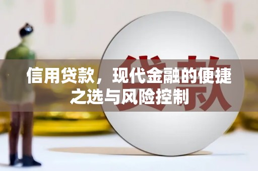 南票信用贷款，现代金融的便捷之选与风险控制