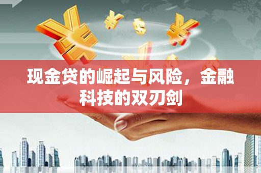 洋县现金贷的崛起与风险，金融科技的双刃剑