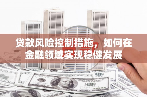 天元贷款风险控制措施，如何在金融领域实现稳健发展