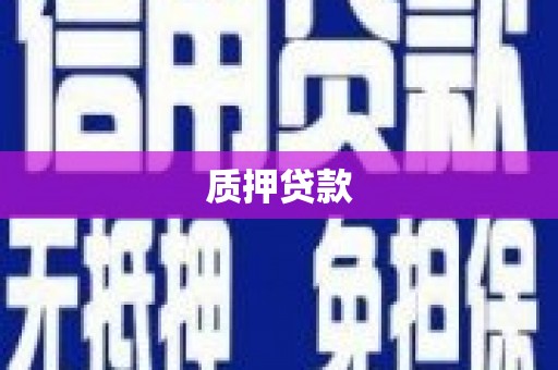 南宫质押贷款