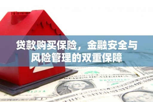 六枝贷款购买保险，金融安全与风险管理的双重保障