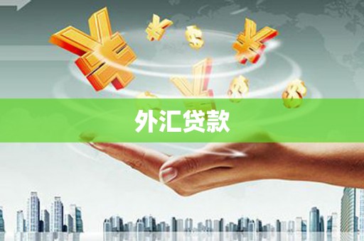 大内外汇贷款