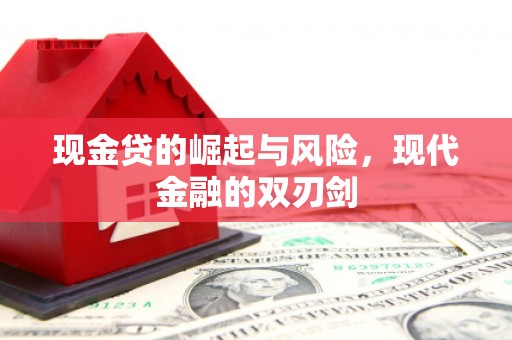 沙坡头现金贷的崛起与风险，现代金融的双刃剑