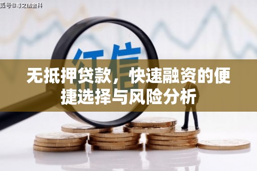米东无抵押贷款，快速融资的便捷选择与风险分析