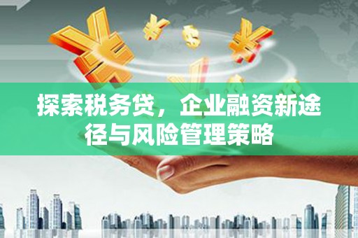 云梦探索税务贷，企业融资新途径与风险管理策略