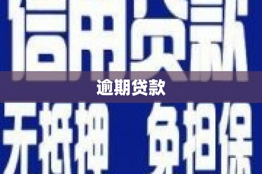 江城逾期贷款