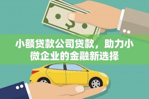 宜秀小额贷款公司贷款，助力小微企业的金融新选择