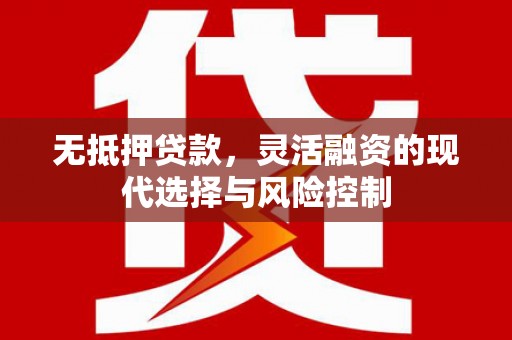 那曲无抵押贷款，灵活融资的现代选择与风险控制