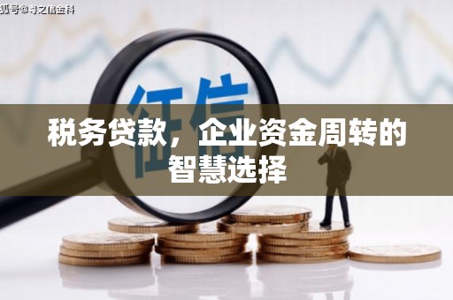 雄安新区税务贷款，企业资金周转的智慧选择