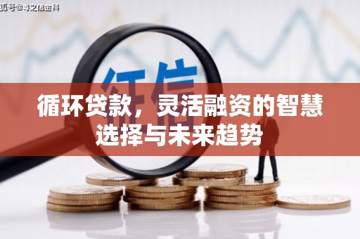 保康循环贷款，灵活融资的智慧选择与未来趋势