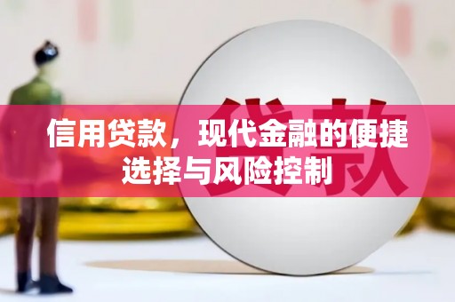 金昌信用贷款，现代金融的便捷选择与风险控制