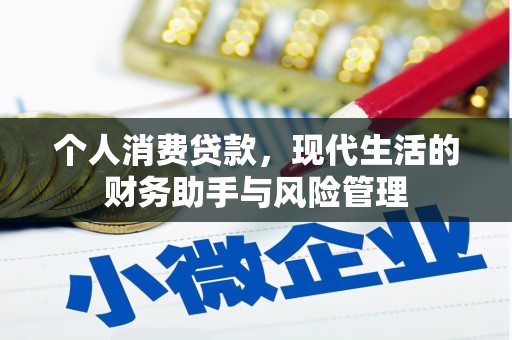 雁江个人消费贷款，现代生活的财务助手与风险管理