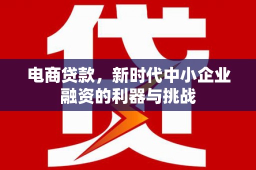 芮城电商贷款，新时代中小企业融资的利器与挑战