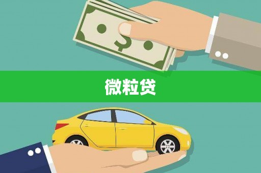 海兴微粒贷