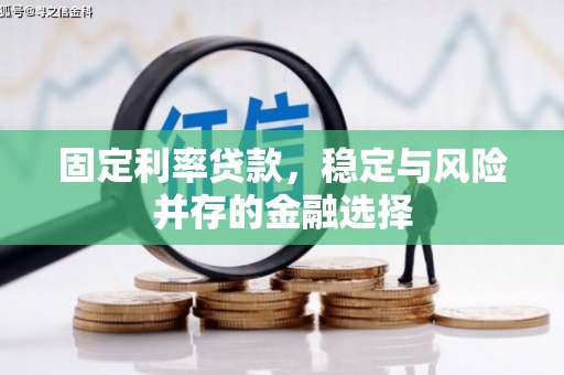 玉山固定利率贷款，稳定与风险并存的金融选择