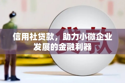 大武信用社贷款，助力小微企业发展的金融利器