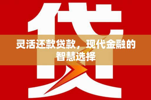 汉南灵活还款贷款，现代金融的智慧选择