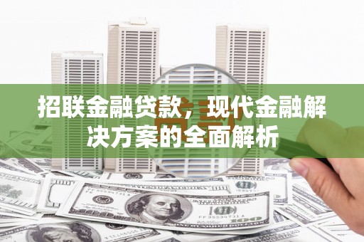 兴隆招联金融贷款，现代金融解决方案的全面解析