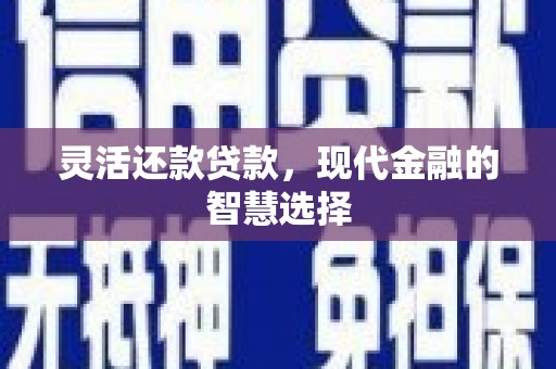 泽普灵活还款贷款，现代金融的智慧选择
