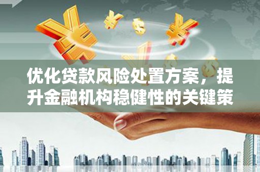 怀远优化贷款风险处置方案，提升金融机构稳健性的关键策略