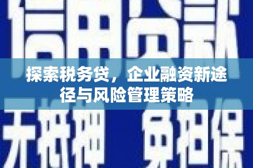 原州探索税务贷，企业融资新途径与风险管理策略